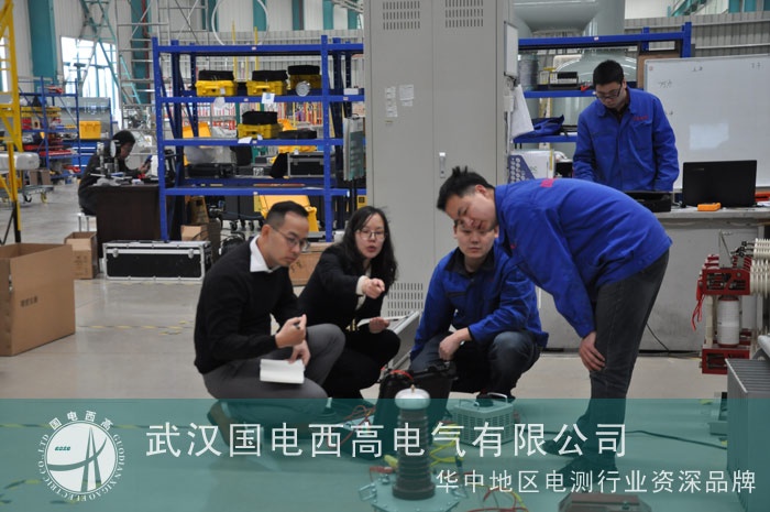 國電西高迎來菲律賓客戶來訪驗(yàn)貨