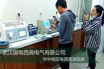 國電西高前往廣西河池提供調(diào)試服務(wù)