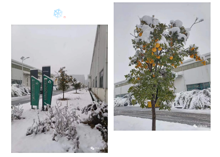 局部放電檢測儀，串聯諧振，SF6氣體檢漏儀