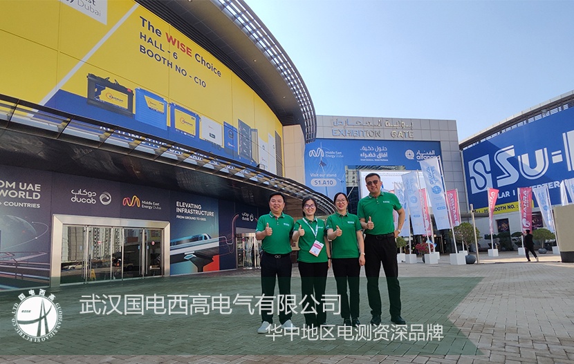 精彩瞬間：2024年中東迪拜能源展我們共振而行