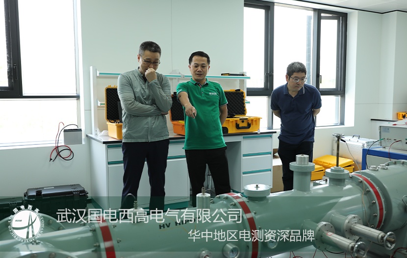 國(guó)電西高GDYT局放試驗(yàn)裝置受到上海成套廠客戶考察