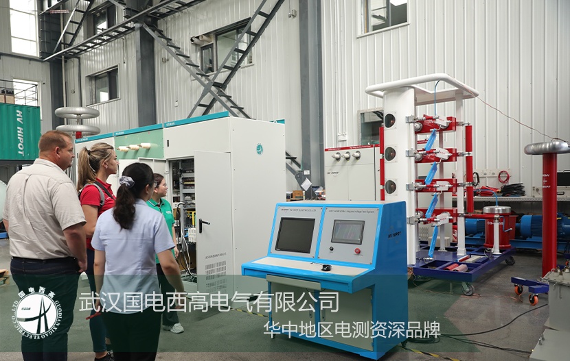 海外來(lái)訪 |南非客戶蒞臨我司考察設(shè)備技術(shù)交流