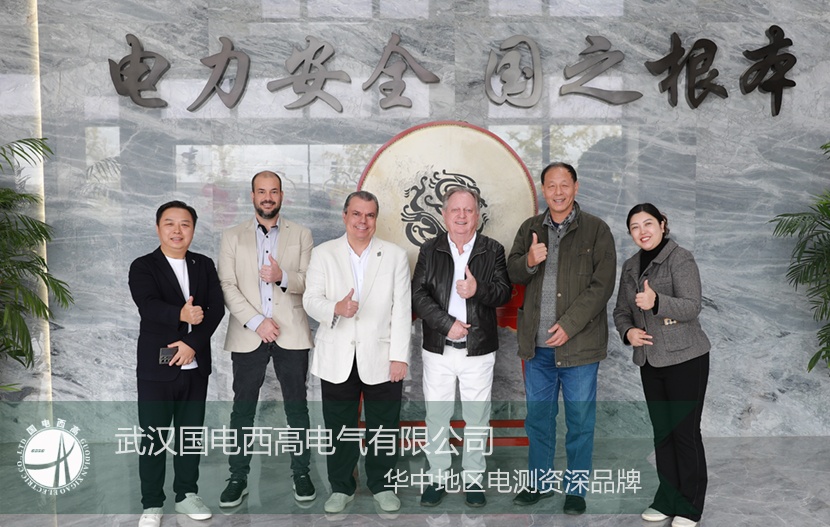 以實(shí)力為基,以誠(chéng)意為橋:國(guó)電西高喜迎國(guó)際核心客戶深度探訪